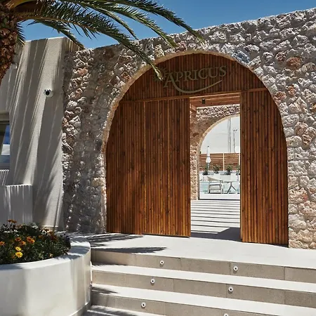 Apricus Hotel 4*