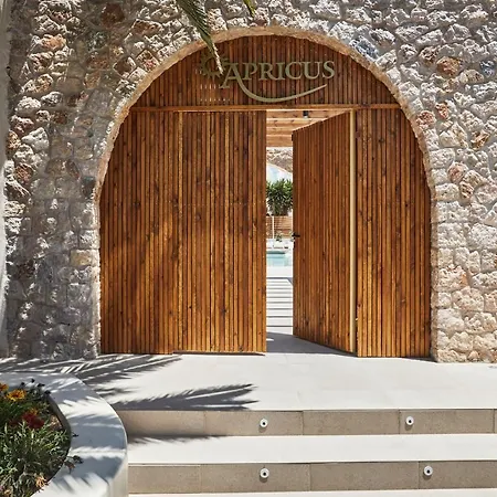 Apricus Hotel 4*