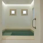 Apricus 4*